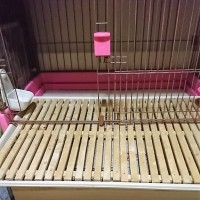/image/de96fa7c2b3bc8c0759b3c4712c43e25-200x200.jpg