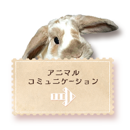 アニマルコミュニケーション