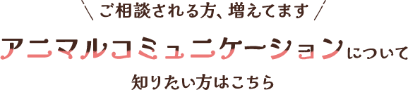 ご相談される方、増えてます。アニマルコミュニケーションについて知りたい方はこちら