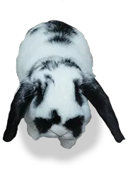 /image/DB01_img03.png