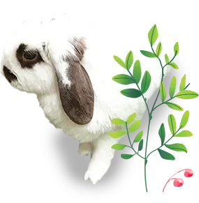 /image/DB01_img04.png