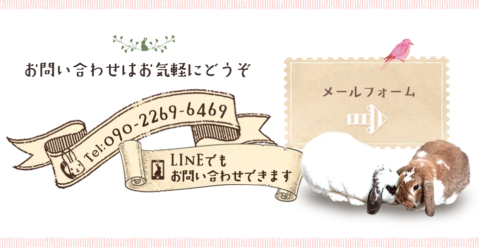 お問い合わせはお気軽にどうぞ　メールフォームはこちら