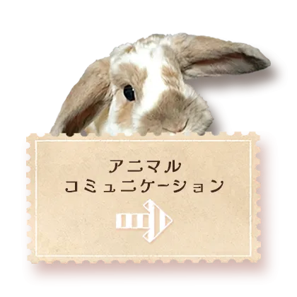 アニマルコミュニケーション
