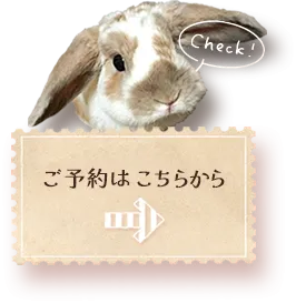 /image/secondmain_btn_sp.png