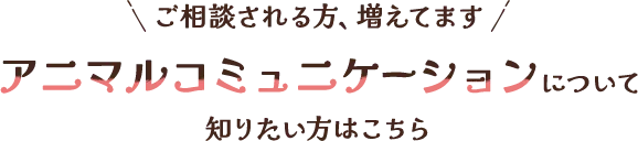 ご相談される方、増えてます。アニマルコミュニケーションについて知りたい方はこちら